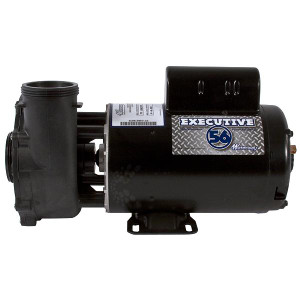 Waterway Executive 56 frame 2HP two-speed hot tub pump